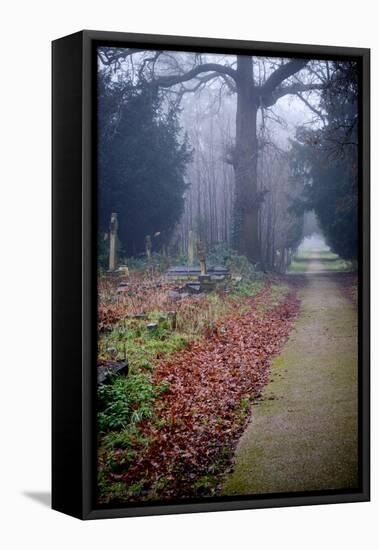 Graveyard in England in Winter-David Baker-Framed Stretched Canvas