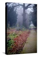 Graveyard in England in Winter-David Baker-Stretched Canvas