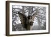 Graveyard in England in Winter-David Baker-Framed Photographic Print