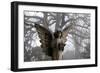 Graveyard in England in Winter-David Baker-Framed Photographic Print