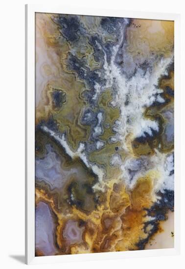 Graveyard Plume Agate, Oregon-Darrell Gulin-Framed Photographic Print