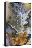 Graveyard Plume Agate, Oregon-Darrell Gulin-Framed Stretched Canvas