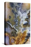 Graveyard Plume Agate, Oregon-Darrell Gulin-Stretched Canvas