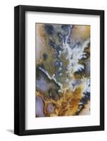 Graveyard Plume Agate, Oregon-Darrell Gulin-Framed Photographic Print