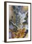 Graveyard Plume Agate, Oregon-Darrell Gulin-Framed Photographic Print