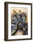 Graveyard Point Plume, Oregon-Darrell Gulin-Framed Photographic Print