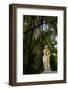 Graveyard Statue and Trees Draped in Spanish Moss at Entrance to Bonaventure Cemetery-Paul Souders-Framed Photographic Print