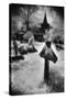 Graveyard, Village in the Carpathian Mountains, Romania-Simon Marsden-Stretched Canvas