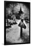 Graveyard, Village in the Carpathian Mountains, Romania-Simon Marsden-Framed Giclee Print