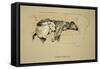 Gravitation, 1930, 1st Edition of Sleeping Partners-Cecil Aldin-Framed Stretched Canvas