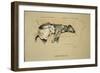 Gravitation, 1930, 1st Edition of Sleeping Partners-Cecil Aldin-Framed Giclee Print