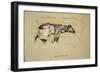 Gravitation, 1930, 1st Edition of Sleeping Partners-Cecil Aldin-Framed Giclee Print