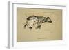 Gravitation, 1930, 1st Edition of Sleeping Partners-Cecil Aldin-Framed Giclee Print