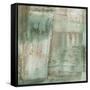 Gravity I-Jennifer Goldberger-Framed Stretched Canvas