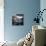 Gravity Zero 2-Philippe Sainte-Laudy-Mounted Photographic Print displayed on a wall