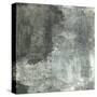 Gray Abstract II-Elena Ray-Stretched Canvas