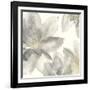 Gray and Silver Flowers I-Chris Paschke-Framed Art Print