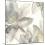 Gray and Silver Flowers I-Chris Paschke-Mounted Art Print