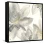 Gray and Silver Flowers I-Chris Paschke-Framed Stretched Canvas