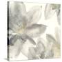 Gray and Silver Flowers I-Chris Paschke-Stretched Canvas