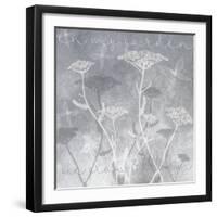 Gray Background with Ghosted White Yarrow and Inspirational Words-Bee Sturgis-Framed Art Print