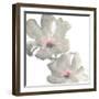 Gray Blush Cosmos I on White-Chris Paschke-Framed Art Print