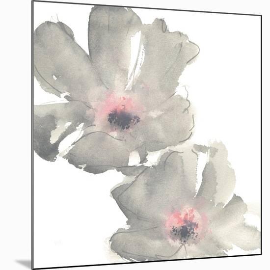 Gray Blush Cosmos I on White-Chris Paschke-Mounted Art Print