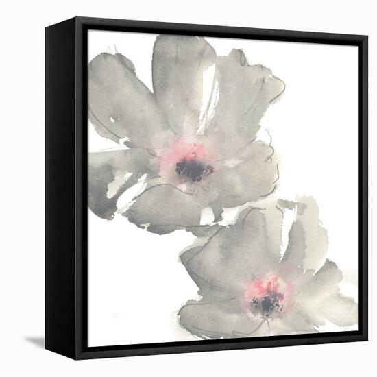 Gray Blush Cosmos I on White-Chris Paschke-Framed Stretched Canvas