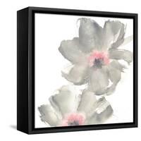 Gray Blush Cosmos II on White-Chris Paschke-Framed Stretched Canvas