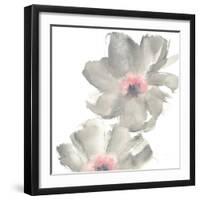 Gray Blush Cosmos II on White-Chris Paschke-Framed Art Print