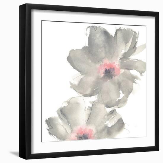 Gray Blush Cosmos II on White-Chris Paschke-Framed Art Print