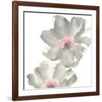 Gray Blush Cosmos II on White-Chris Paschke-Framed Art Print