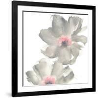 Gray Blush Cosmos II on White-Chris Paschke-Framed Art Print