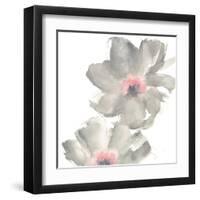 Gray Blush Cosmos II on White-Chris Paschke-Framed Art Print