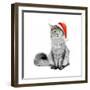 Gray Cat in Santa Suit-flibustier-Framed Photographic Print