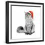 Gray Cat in Santa Suit-flibustier-Framed Photographic Print