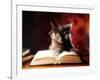 Gray Cat With Glasses Reading A Book-gila-Framed Photographic Print