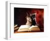 Gray Cat With Glasses Reading A Book-gila-Framed Photographic Print