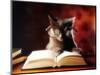 Gray Cat With Glasses Reading A Book-gila-Mounted Photographic Print