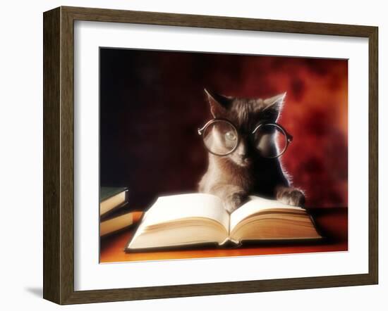 Gray Cat With Glasses Reading A Book-gila-Framed Photographic Print