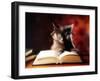 Gray Cat With Glasses Reading A Book-gila-Framed Photographic Print