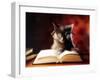 Gray Cat With Glasses Reading A Book-gila-Framed Photographic Print