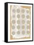 Gray Collage I-Laura Horn-Framed Stretched Canvas