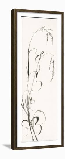 Gray Grasses III-Chris Paschke-Framed Premium Giclee Print