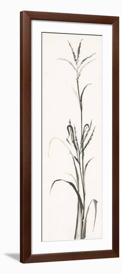 Gray Grasses IV-Chris Paschke-Framed Art Print