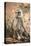 Gray Langurs (Hanuman Langurs) (Langur Monkey) (Semnopithecus Entellus)-Janette Hill-Stretched Canvas