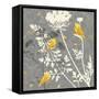 Gray Meadow Lace I-Jill Meyer-Framed Stretched Canvas