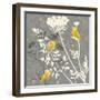 Gray Meadow Lace I-Jill Meyer-Framed Art Print