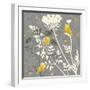 Gray Meadow Lace I-Jill Meyer-Framed Art Print