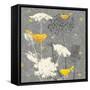 Gray Meadow Lace II-Jill Meyer-Framed Stretched Canvas